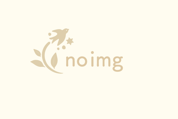 no-img